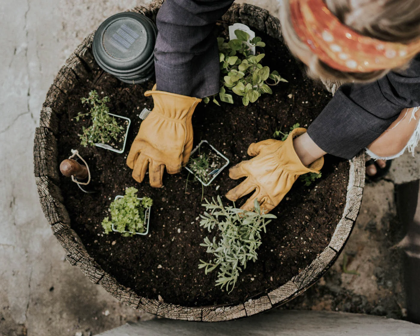 The Patio Kitchen Garden Ebook