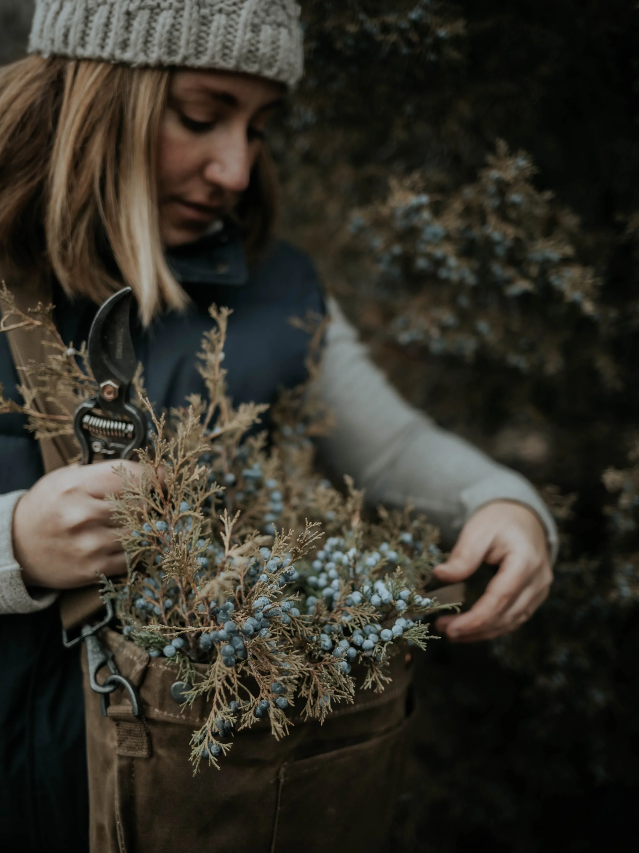 A Forager’s Checklist for Safe, Sustainable &amp; Ethical Foraging