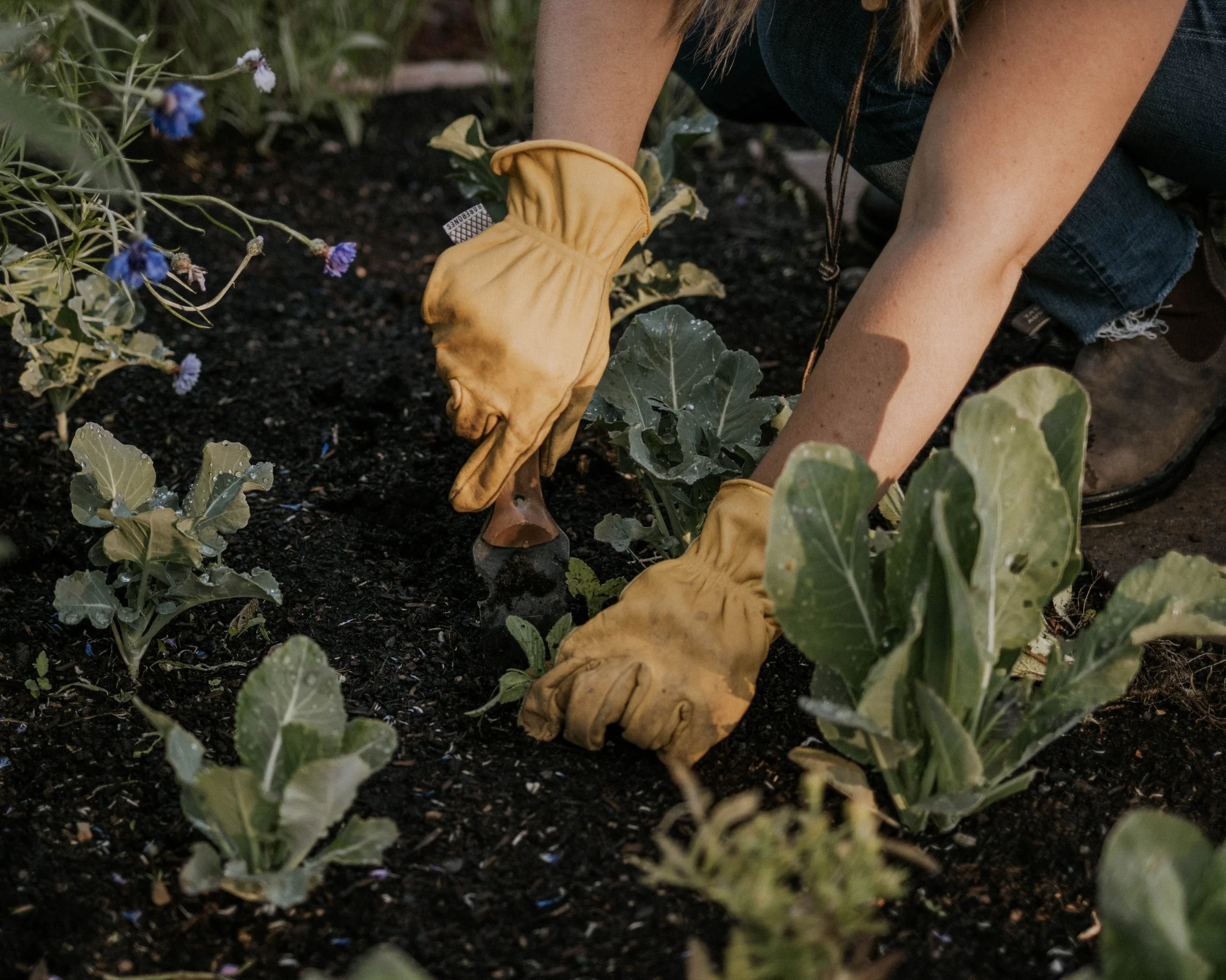 A Seasonal Gardening Checklist
