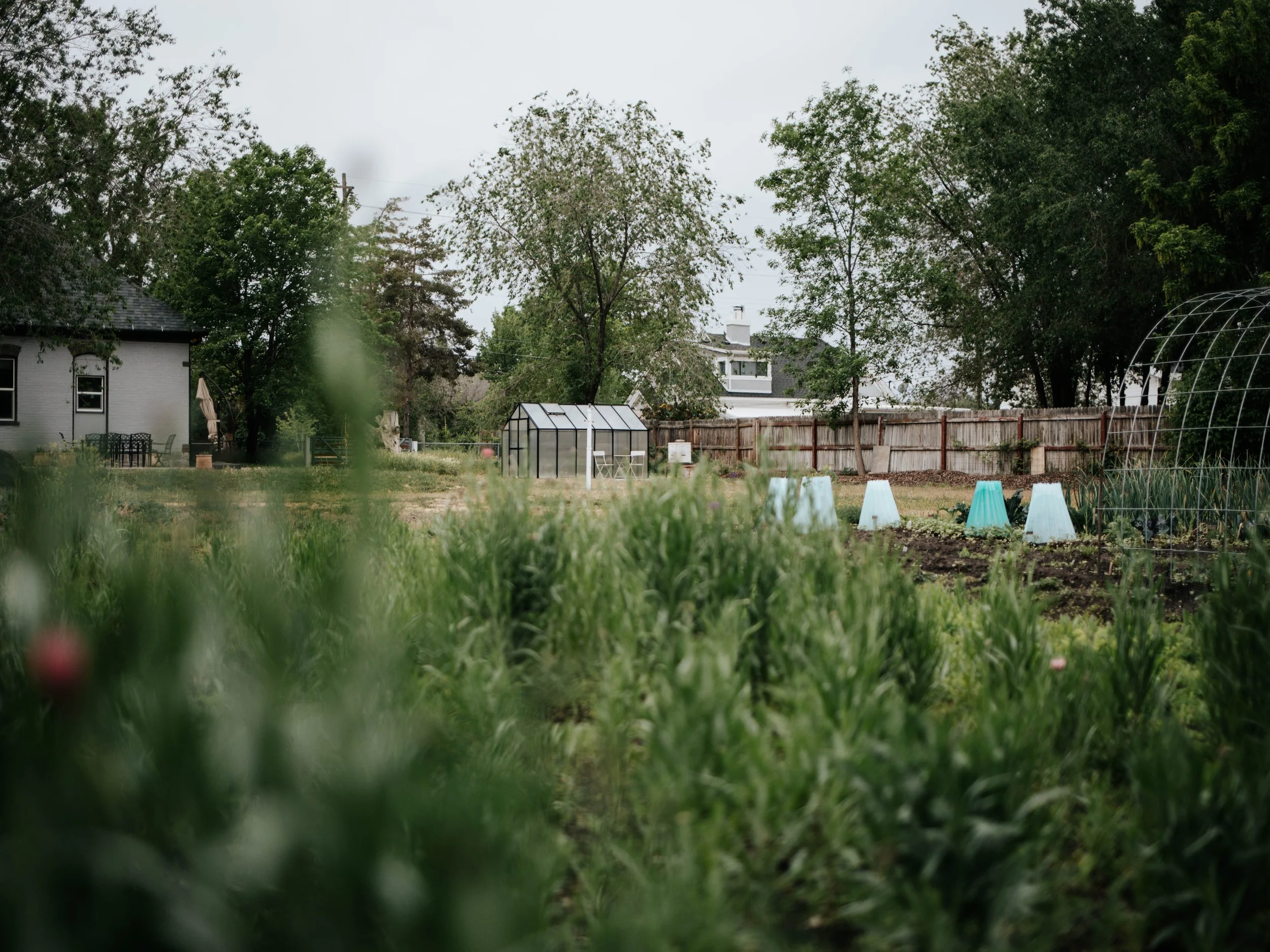 A Late Spring ‘22 Garden Update