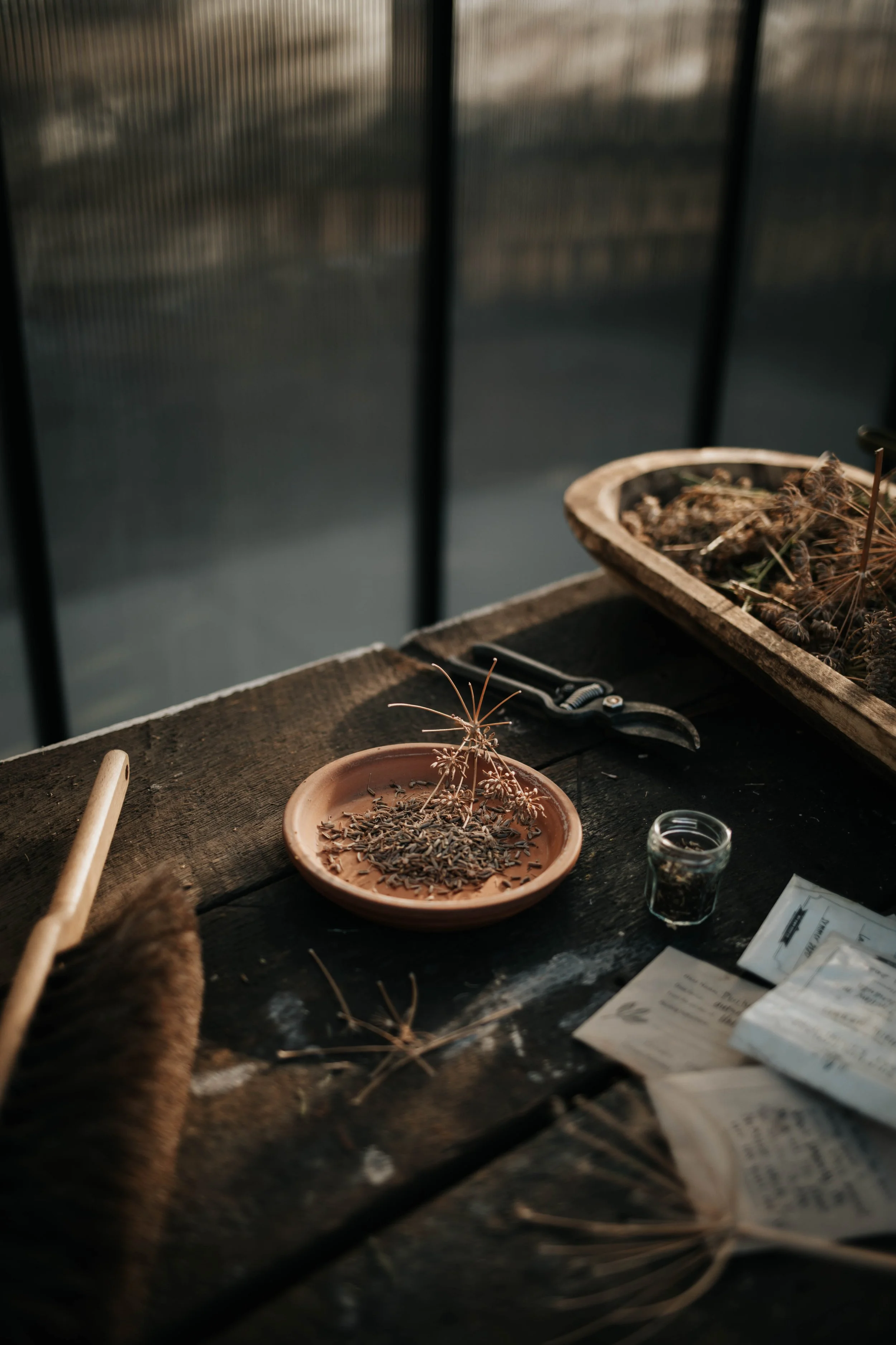 How to Save + Store Seeds