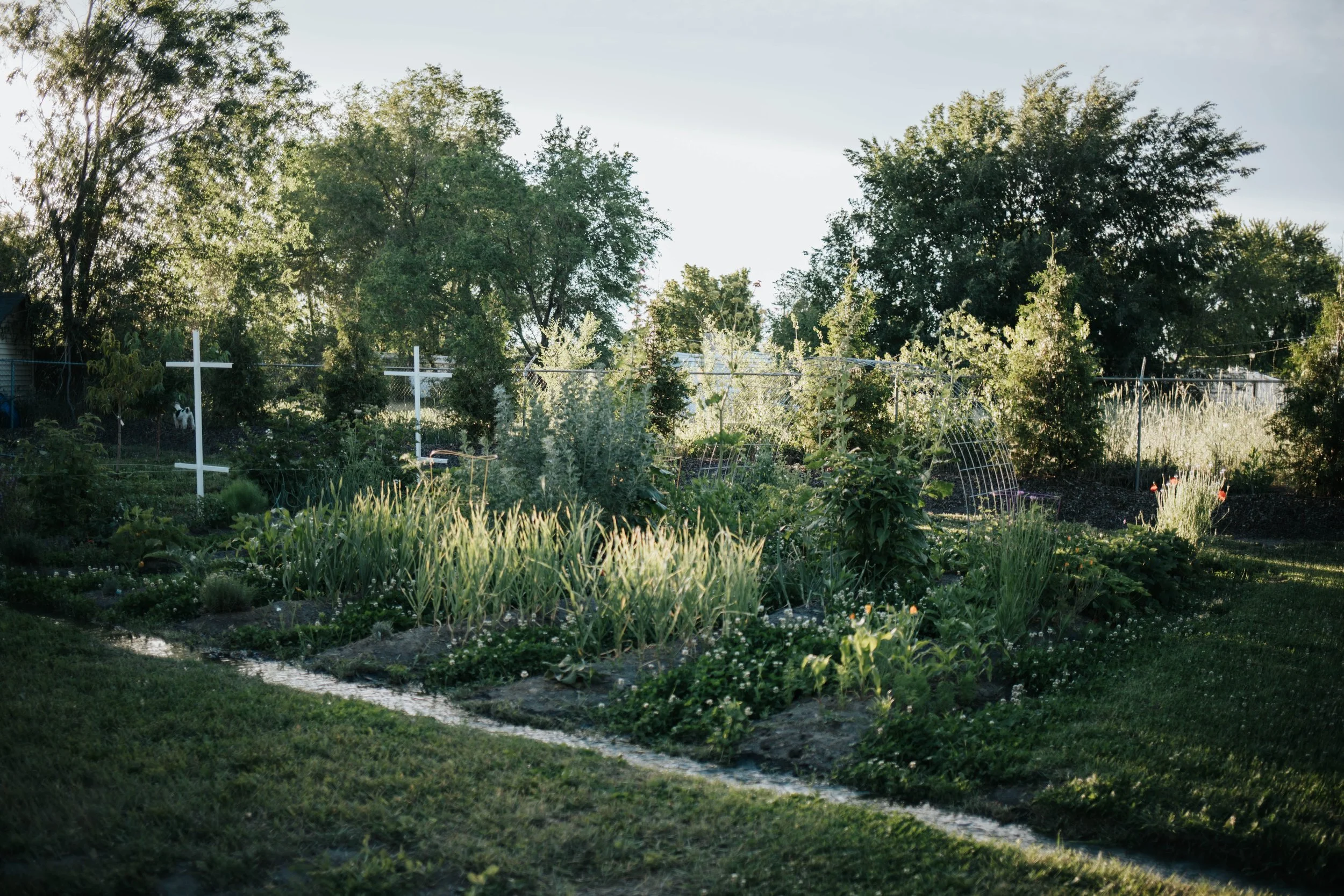 5 Ways to Keep a Garden Low Maintenance