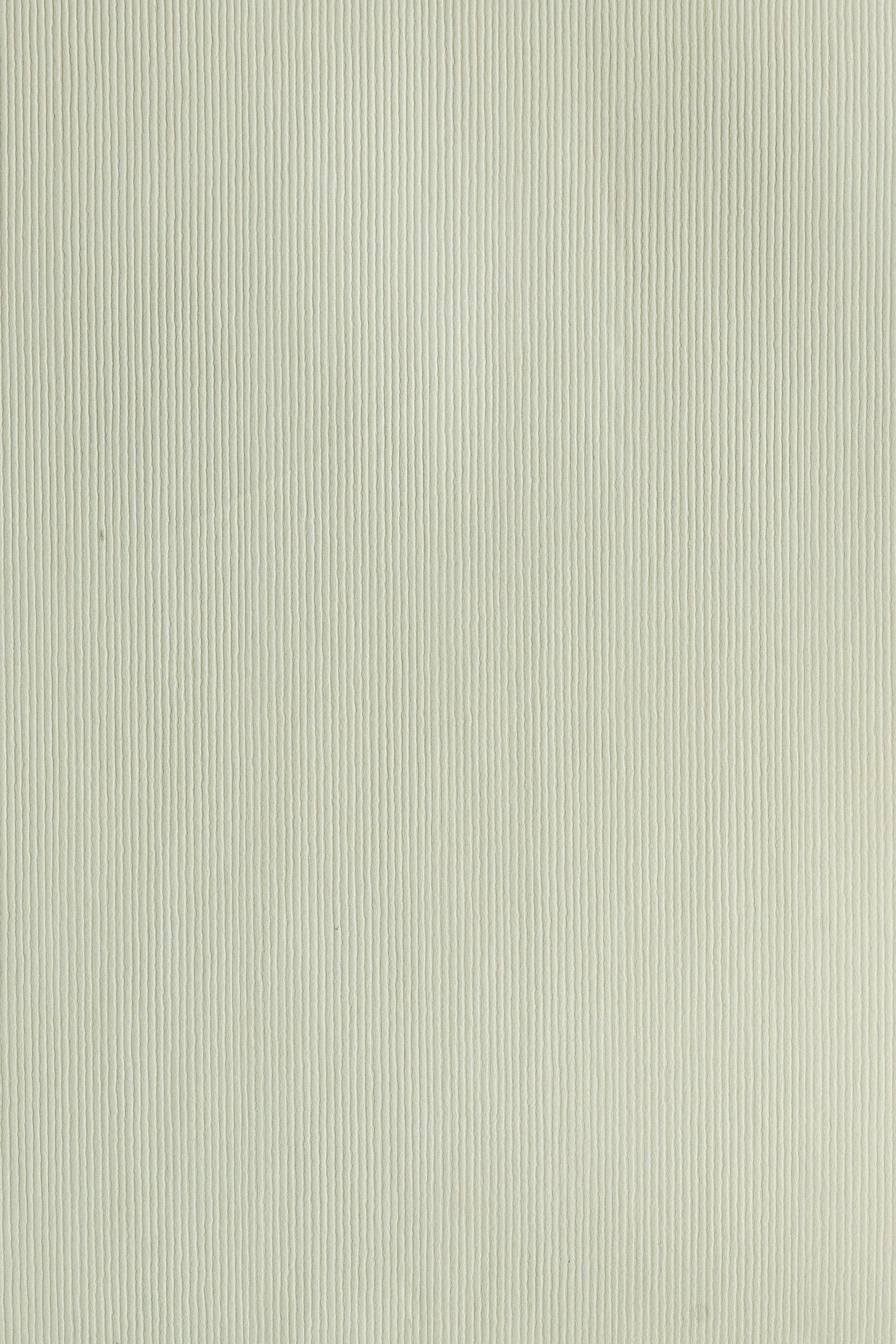 Close-up of a textured, light-colored surface with fine vertical ridges.